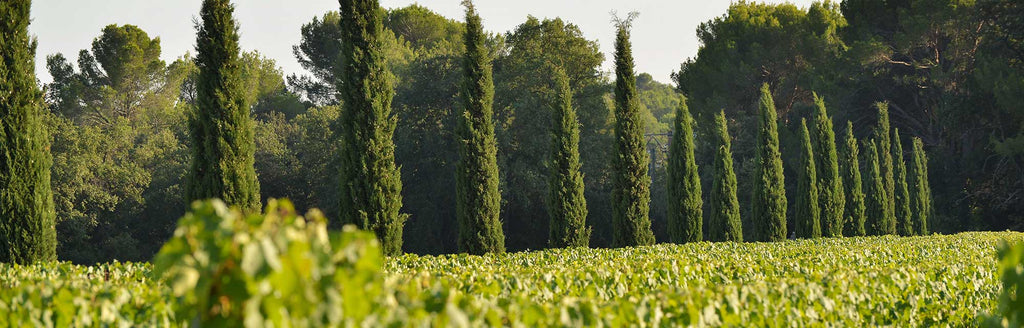 Die Partner von Kolonen Null, Les Quatre Tours steht sinnbildlich für ihre symbolische Verbundenheit zur Region Coteaux d'Aix-en-Provence und formidable Lebenskunst!